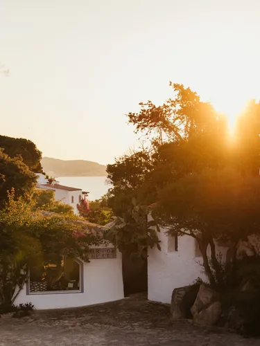 Tramonto su un pittoresco villaggio con case in stucco bianco circondate da alberi e fiori. La luce calda del sole crea un bagliore sereno, dando vita a una scena tranquilla.